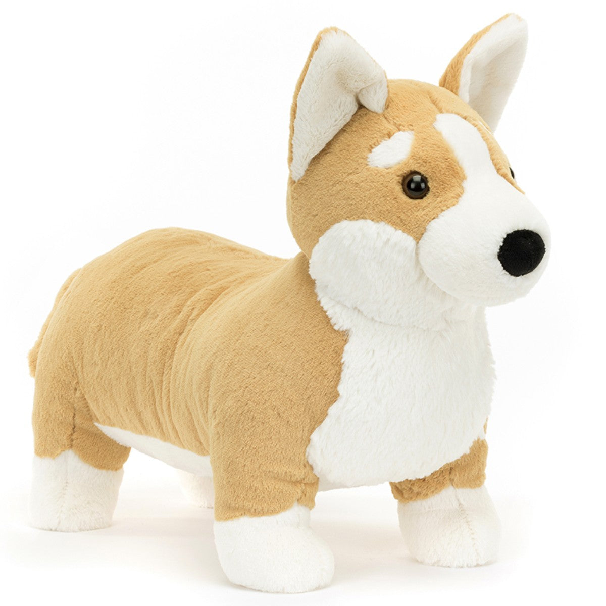 Bamse, Hund Betty corgi