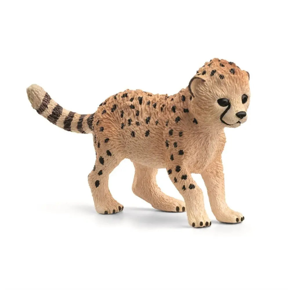 Cheetah, unge